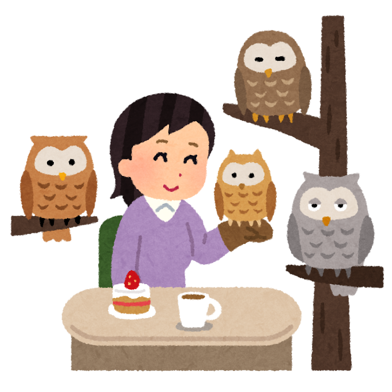 フクロウとのふれあい